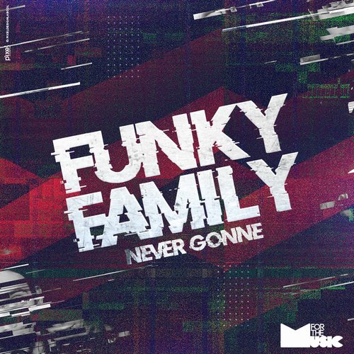 Funky Family (US) - Never Gonne [FTM024]